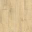 Board-Leached-striking-oak.jpg