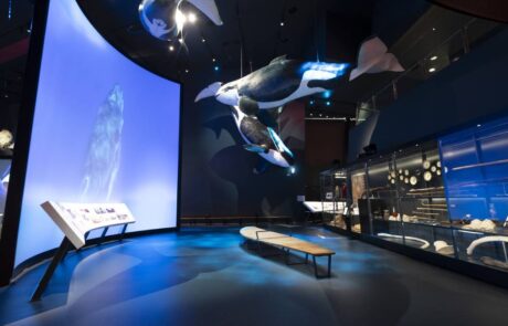 NATIONAL MUSEUM OF AUSTRALIA LAUNCHES TWO NEW GALLERIES